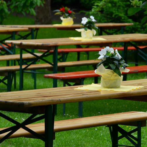 Erfolgreicher 2. Flohmarkt unseres Kleingärtnervereins 🎉🌿